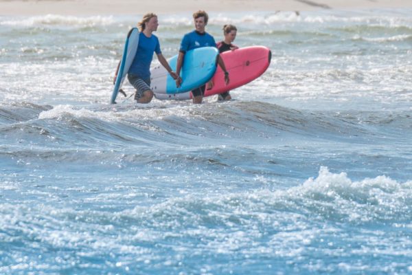 surfboard verleih alcudia mallorca