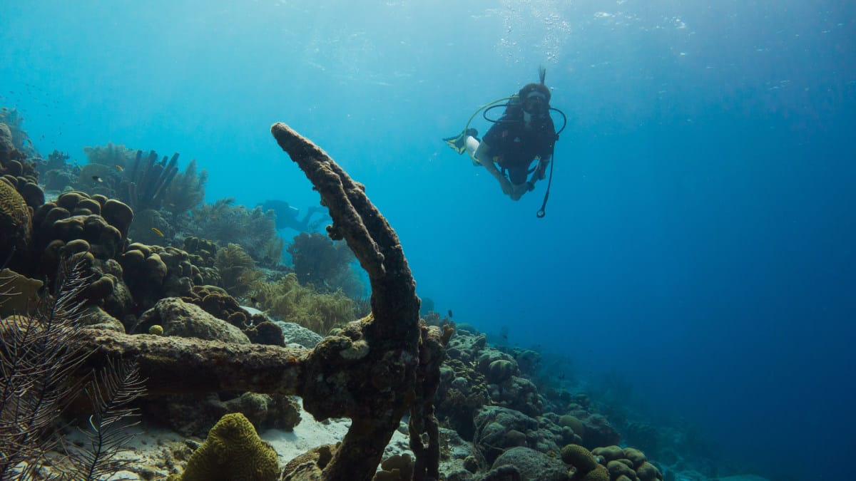 ￼scuba diving mallorca