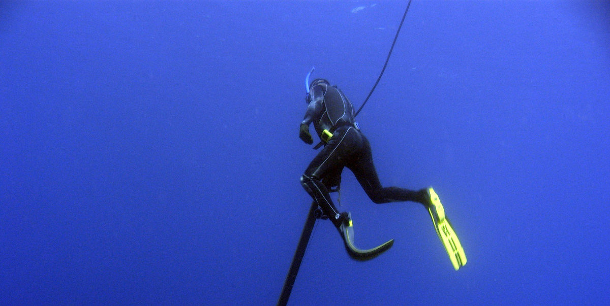 How to start spearfishing